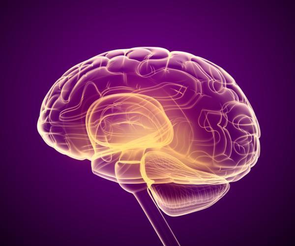 ¿Cómo se activa el sistema reticular ascendente?