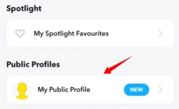 Crear un perfil público