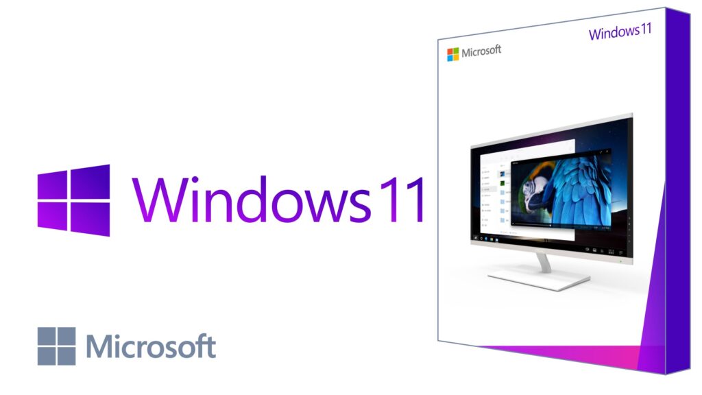 Windows 11