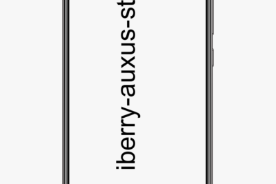 Especificaciones iBerry Auxus Stunner